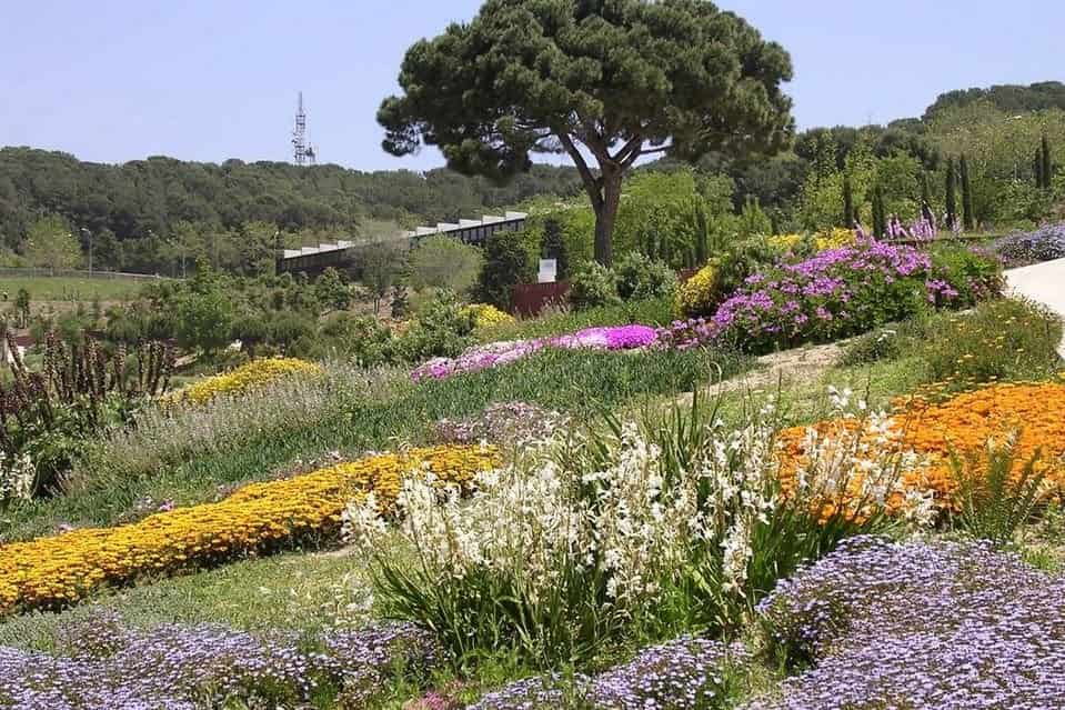 Barcelona Botanical Garden Spain