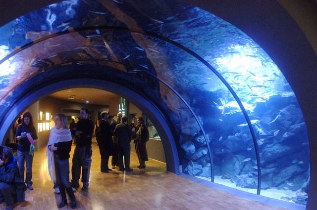 The Cefico de Milan Aquarium is one of the most popular tourist destinations in Milan, Italy