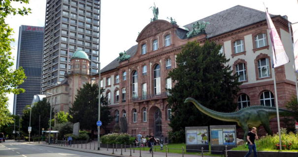 3 best activities in the Natural History Museum, Frankfurt, Germany