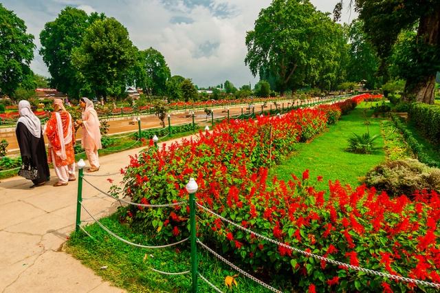 Shalimar Bagh Park is one of the most beautiful gardens of Kashmir