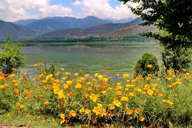 Lake Wallar is one of the most beautiful places of tourism in Kashmir