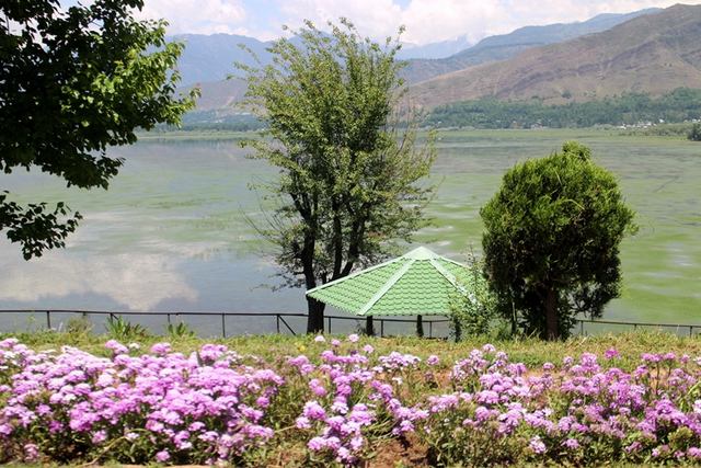 Lake Wallar in Kashmir