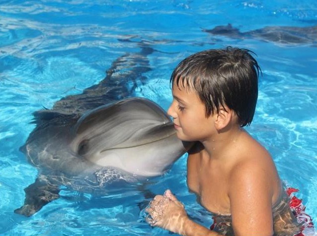 Batumi Dolphinarium is one of the most beautiful tourist destinations in Batumi, Georgia