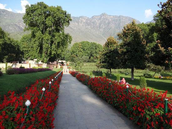 Nishat Bagh Park in the Kashmir Valley