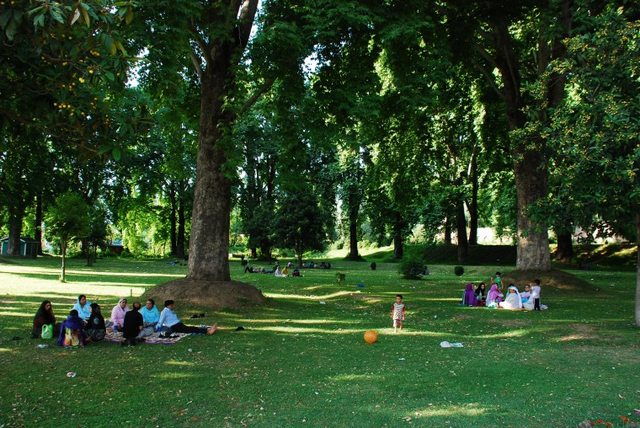 Nishat Bagh Park is one of the most beautiful gardens of Kashmir