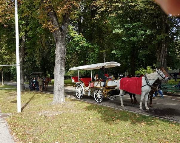 Hofgarten is one of the most beautiful parks in Austria