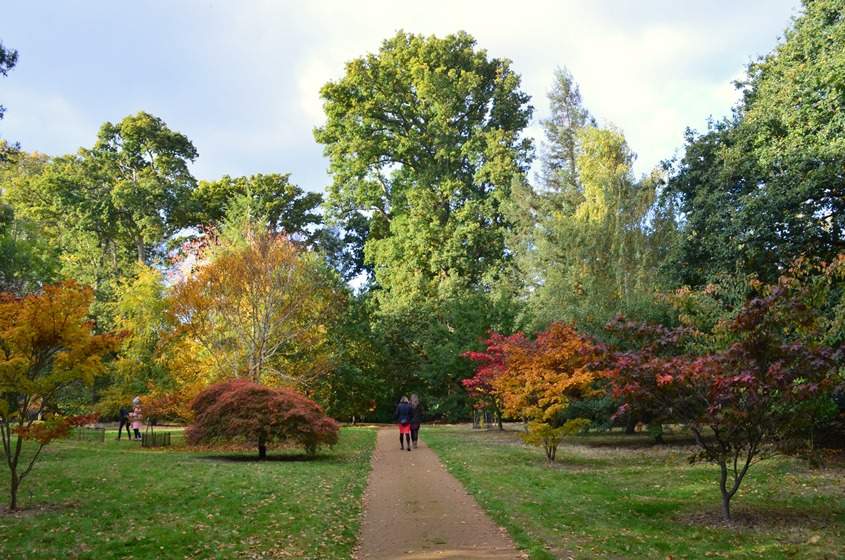 6 best activities in Harcourt Oxford Park