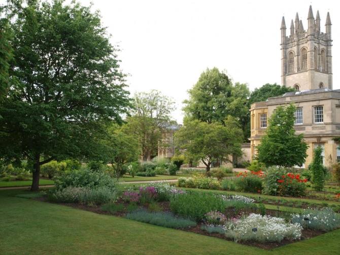 Top 8 Activities in Oxford Botanical Garden