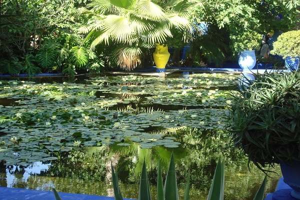 Majorelle Garden in Marrakech is one of the most important tourism parks in Morocco