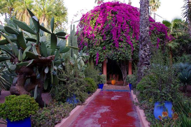 Majorelle Garden is one of the most important tourist places in Marrakech