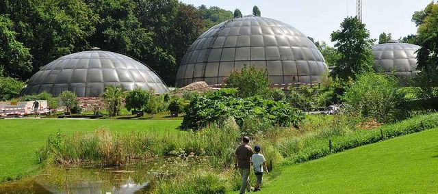 The best 4 activities in the old botanical garden in Zurich Switzerland