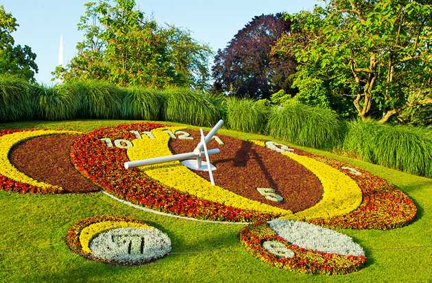 Top 5 activities in the English Garden in Geneva, Switzerland