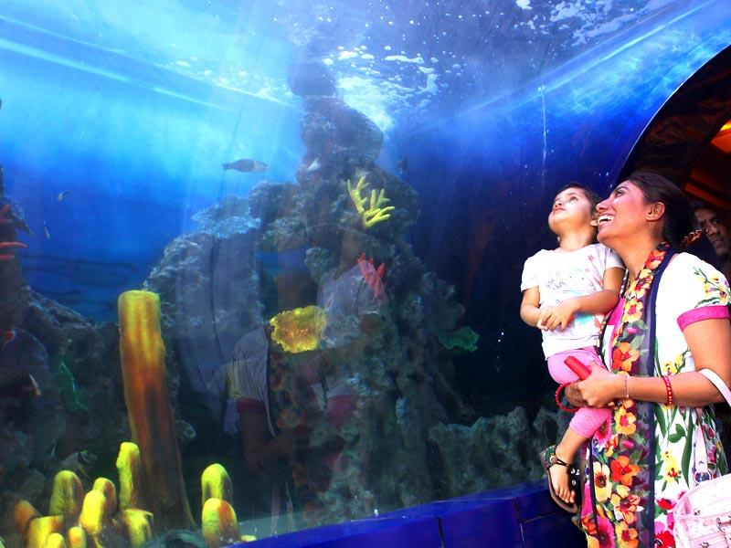 Tarapuriwala Aquarium in Mumbai