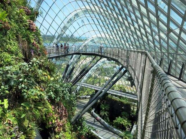 Gulf Gardens in Singapore is one of the best places of tourism in Singapore