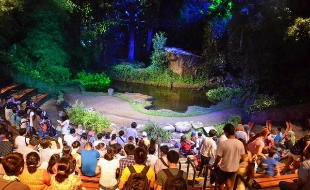 1581303193 486 Top 8 activities in Knight Safari park in Singapore - Top 8 activities in Knight Safari park in Singapore