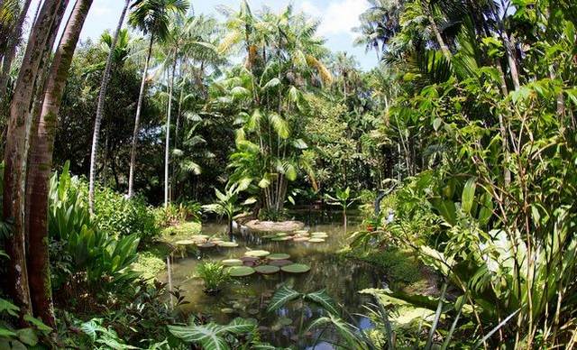 The Singapore Botanical Garden is one of the most beautiful places of tourism in Singapore