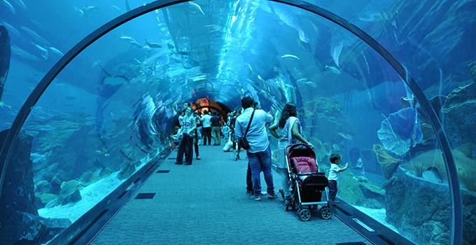 1581303473 608 The 6 best activities in Dubai Emirates Aquarium - The 6 best activities in Dubai Emirates Aquarium