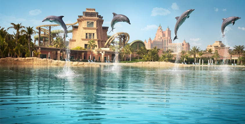 Dolphin Bay in Dubai is one of the most beautiful tourist places in the Emirates