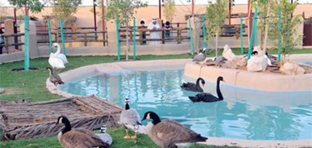 Dubai Zoo is one of the most beautiful places for tourism in Dubai, UAE