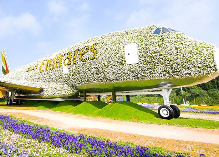 Dubai flower garden is one of the most beautiful tourist places in Dubai