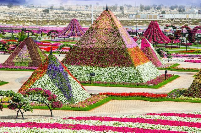 Dubai flower garden, which includes the most beautiful flower designs