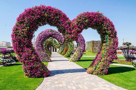 1581303803 810 The best 4 activities when visiting a flower garden in - The best 4 activities when visiting a flower garden in Dubai, UAE