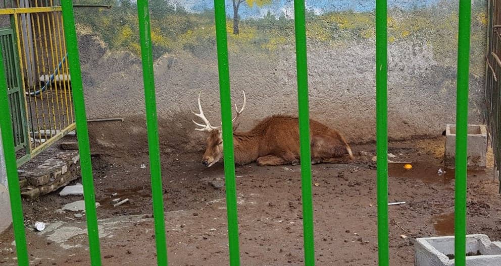 Keelabad Zoo, Mashhad