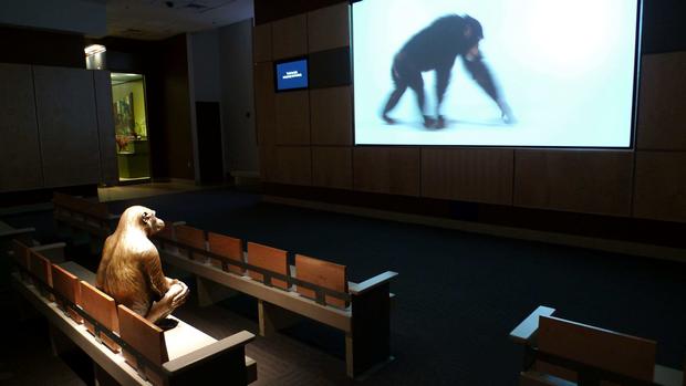 The National Museum of Natural History in America and Washington