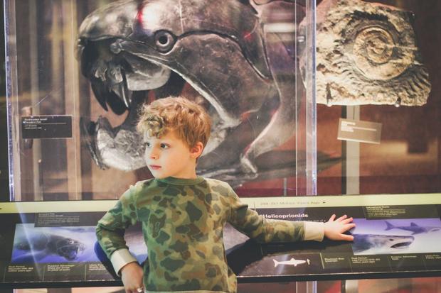 The National Museum of Natural History is one of the best places to visit in Washington, DC