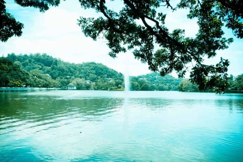 The 6 best activities in Kandy Lake, Sri Lanka