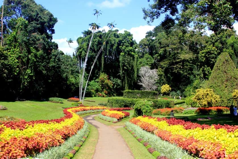 Royal Botanical Garden, Sri Lanka 