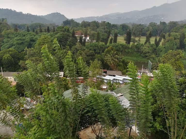 Royal Kandy Botanical Garden