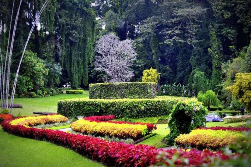 The 7 best activities at the Royal Botanical Garden of Kandy Sri Lanka