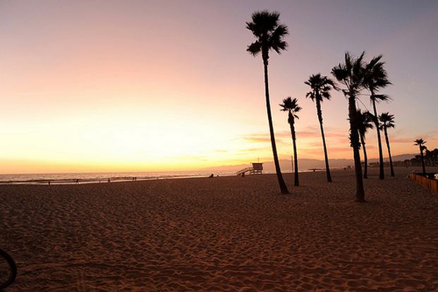 Top 5 activities in Los Angeles, Venice Beach, USA