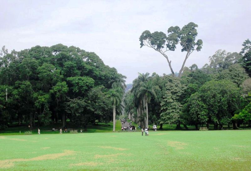 Victoria Park is one of the best tourist places in Noralia 