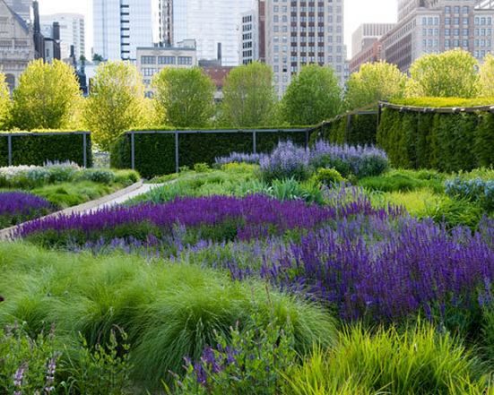 Millennium Park Chicago