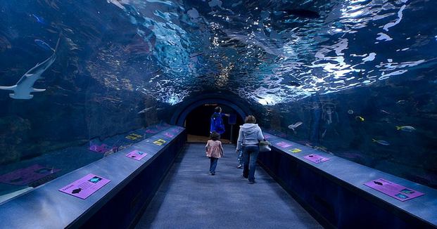 Aquarium was built in Chicago