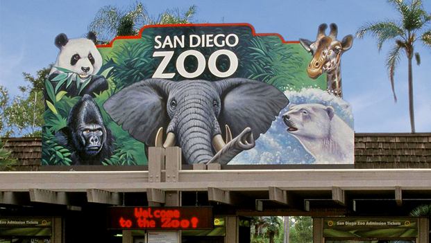 Top 5 activities in San Diego Zoo