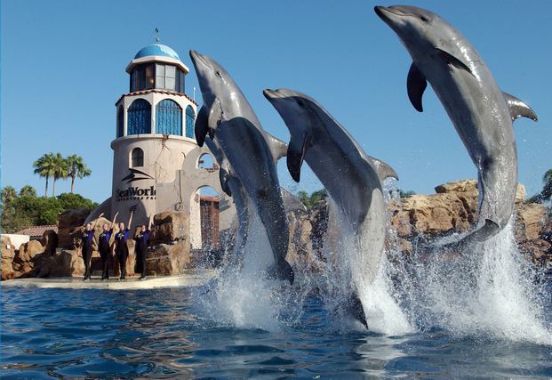 Sea world San Diego America