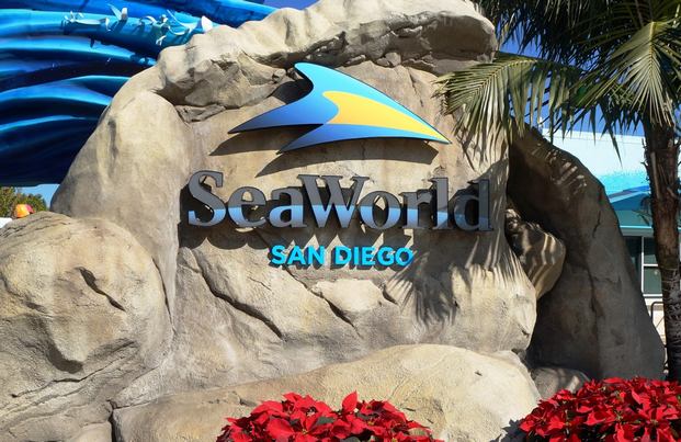 The best 4 activities in the world of seas San Diego, USA
