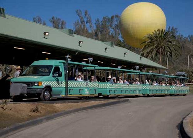 The San Diego Safari Park Zoo is one of the most beautiful places of tourism in San Diego, America