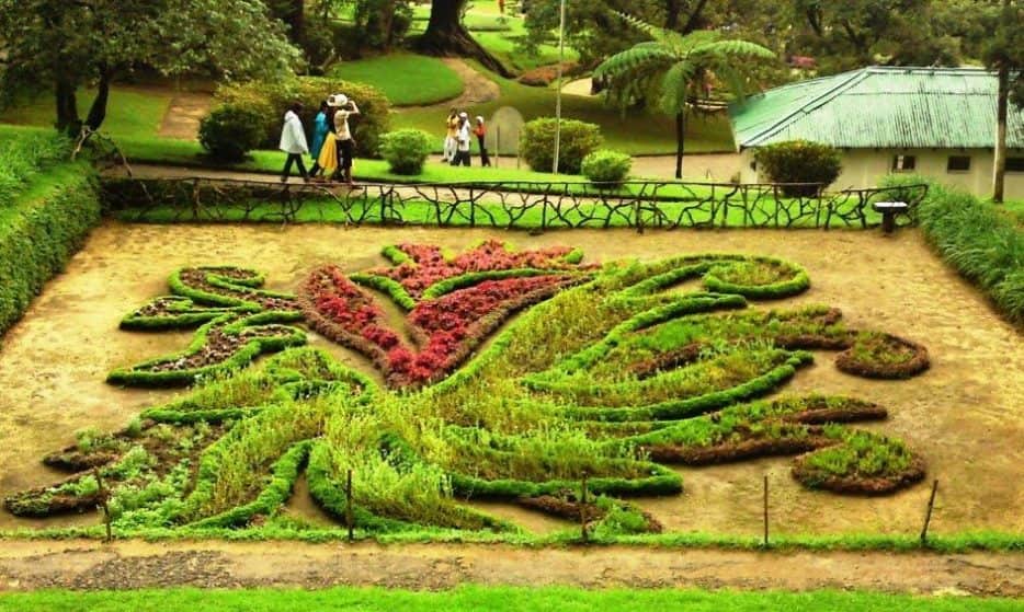 Hakgala Botanical Garden, Sri Lanka, Noralya