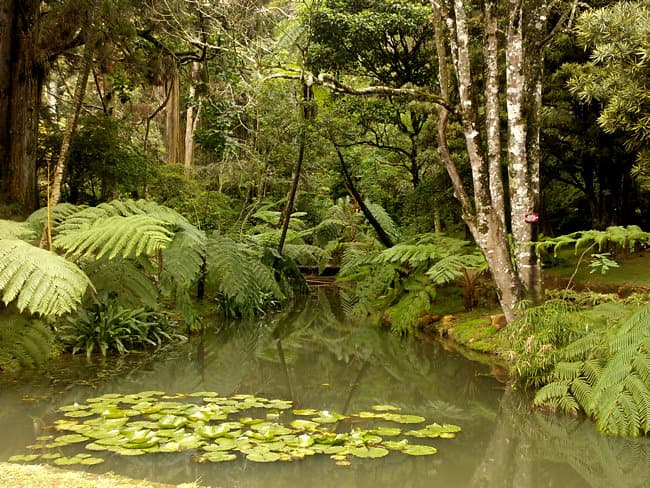 Hakgala Botanical Garden