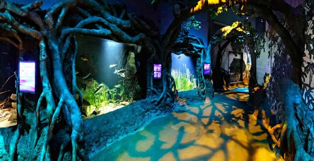 The Singapore Aquarium is one of the most popular tourist destinations in Sentosa