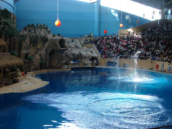 1581306734 262 افضل 4 انشطة في حديقة حيوانات بكين الصين - Top 4 activities in Beijing China Zoo