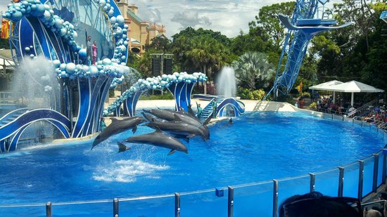 Dolphinarium at Sea World, Orlando