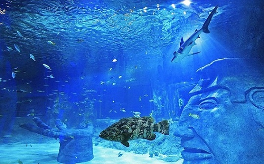The Orlando Aquarium is one of the best places to visit in Orlando, America