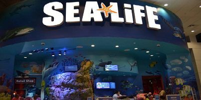 The 3 best activities at the Orlando American Marine Aquarium