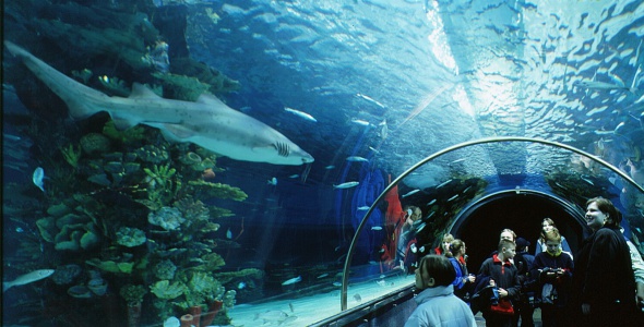 Tropicarium Aquarium