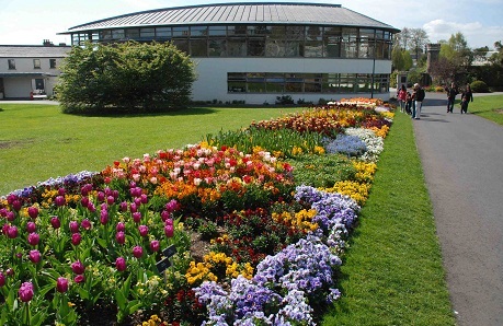 Dublin National Botanical Gardens